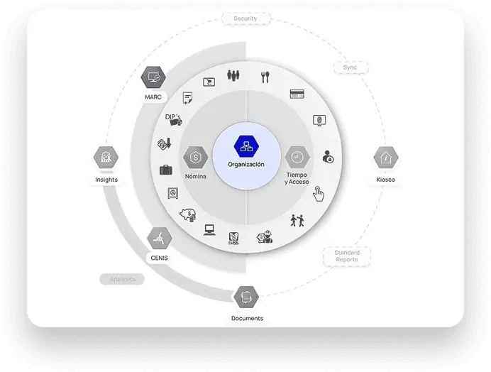Diagrama de CRM de recursos humanos con ecosistema integrado de gestión organizacional