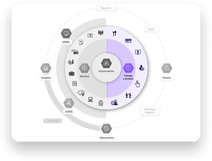 Diagrama de software de control de asistencia con gestión de tiempo y acceso de personal