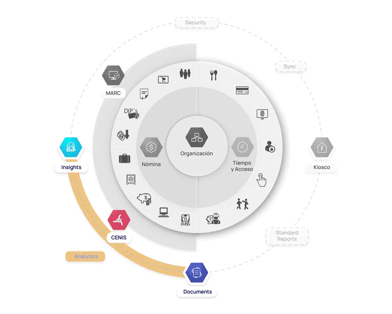 Diagrama de software de people analytics con insights y análisis de datos organizacionales