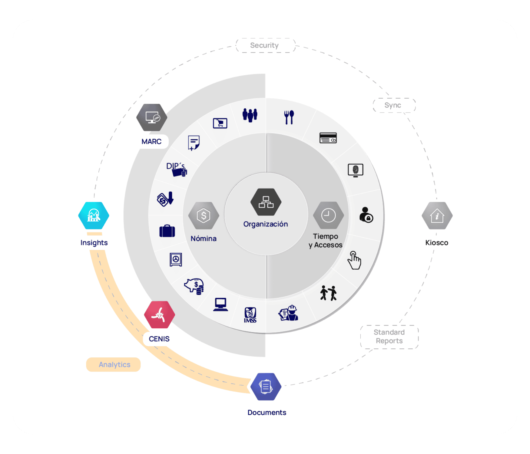 Diagrama de software de people analytics con insights y análisis de datos organizacionales